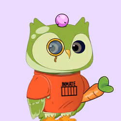 Robin Owl#1637
