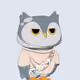 Robin Owl#528