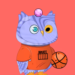 Robin Owl#1485