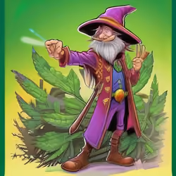 Wizard Shenanigans #4439