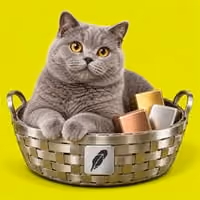 BSKCAT