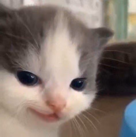 HEHE