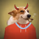 Money Dogs #2440