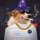 Money Dogs #2443