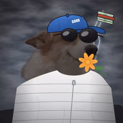 Money Dogs #2801