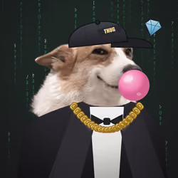 Money Dogs #503