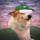 2119