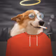 469