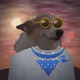 Money Dogs #38