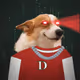 Money Dogs #2524