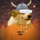 Money Dogs #2441