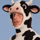 1684