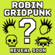 ROBIN GRIDPUNK #????