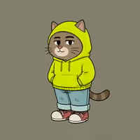CHILLCAT