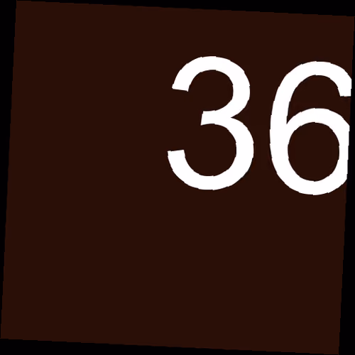 Item #36 Media