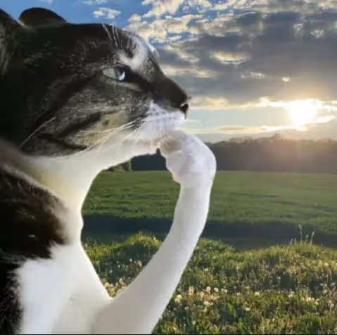 HMM