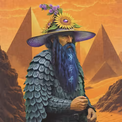 Wizard_8848