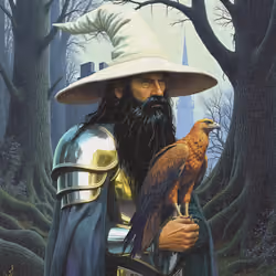 Wizard_8527