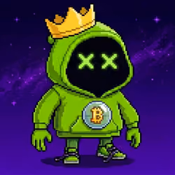 Pixel Hood Mini #384