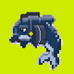 DolphinsHood #310