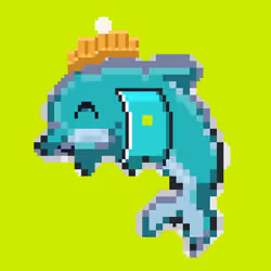 DolphinsHood #362