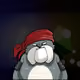 519