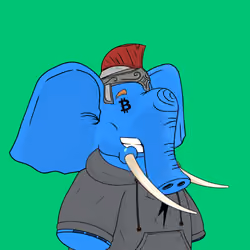 Ellies #1726