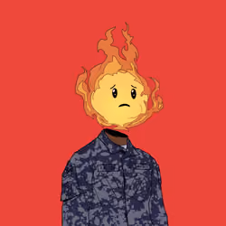 31