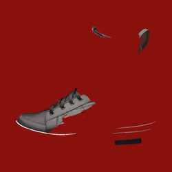 Shoes #1114