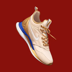 Shoes #1247