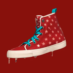 Shoes #234