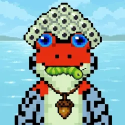 CroakZFrog #6445
