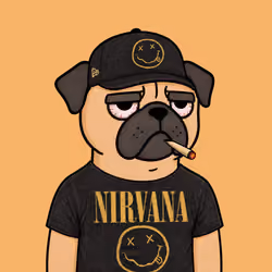2628