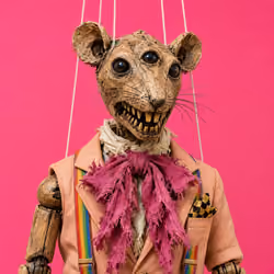 Punk Phicolu #377