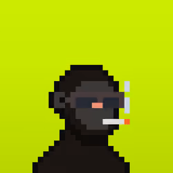 Hooded Primates #54