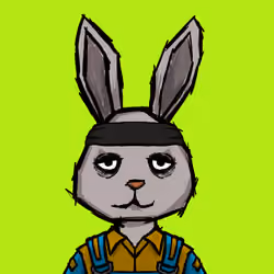 BUNNY HOPPERS #1639
