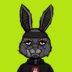 BUNNY HOPPERS #2512