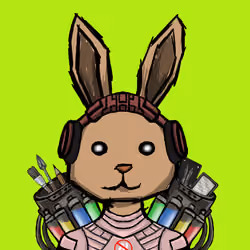BUNNY HOPPERS #1564