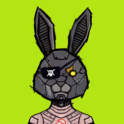 BUNNY HOPPERS #774