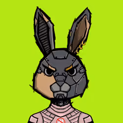 BUNNY HOPPERS #2550