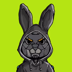 BUNNY HOPPERS #3063