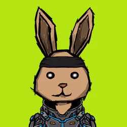 BUNNY HOPPERS #1670