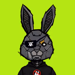 BUNNY HOPPERS #1168