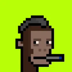 204