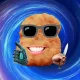 4206