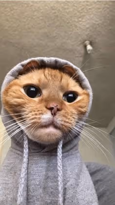 HOOD