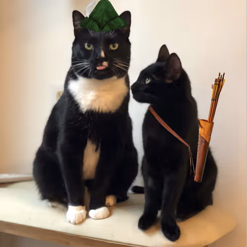 RBHCATS