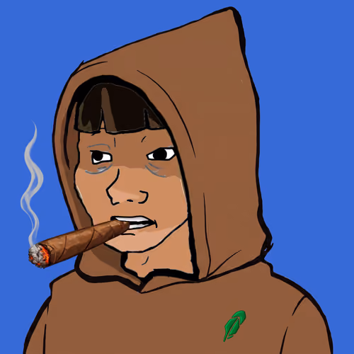 Hoodies #567