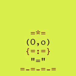 H00t #538
