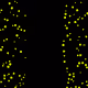 507